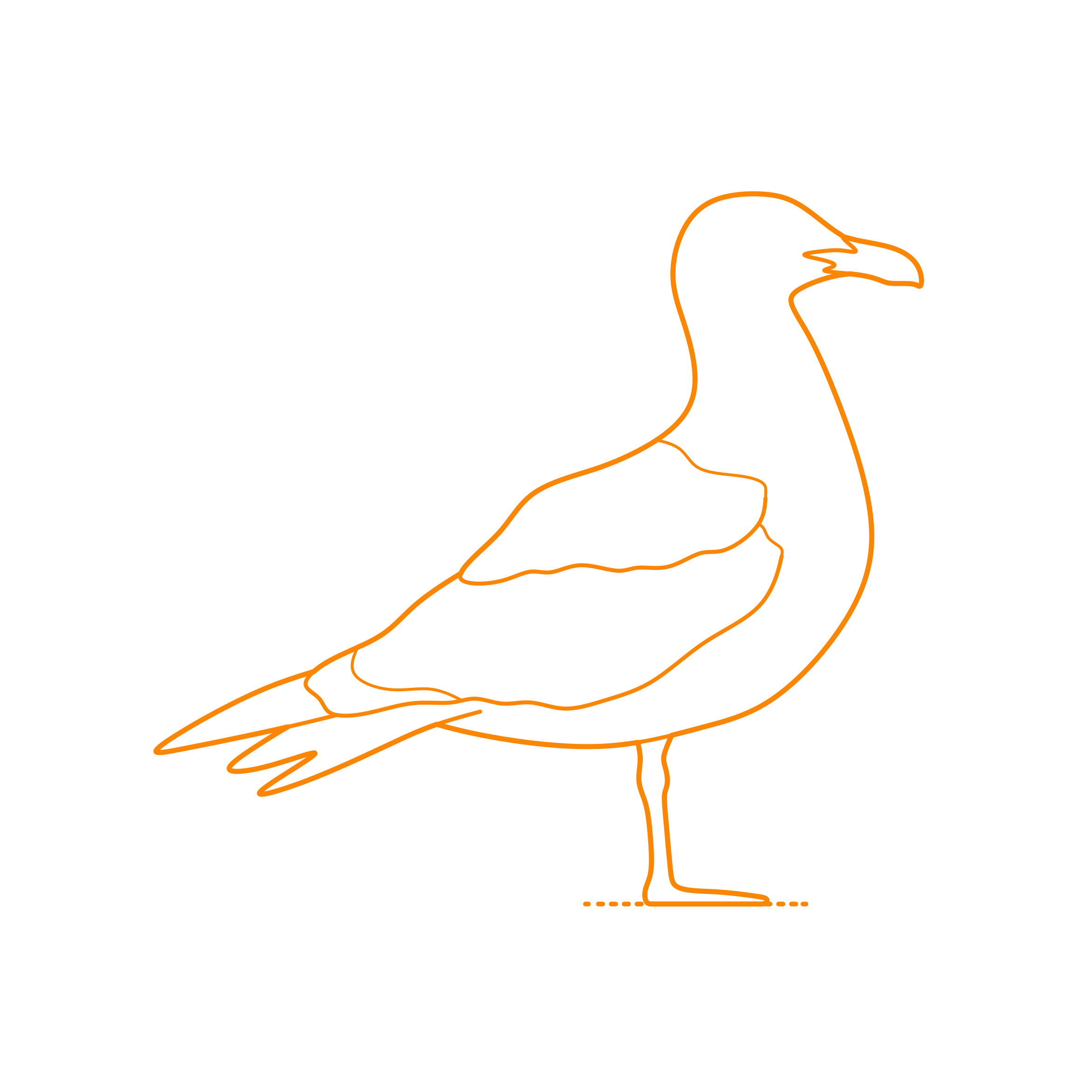 Animals Seabirds Line Art Illustration Svg Free Vectors